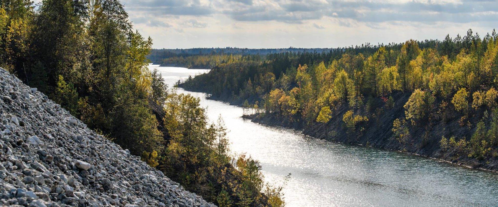 Aidu karjääriala