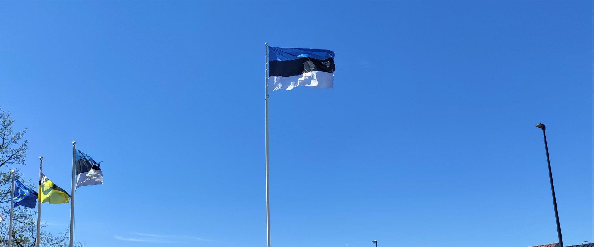 Viron lipputanko Otepäällä