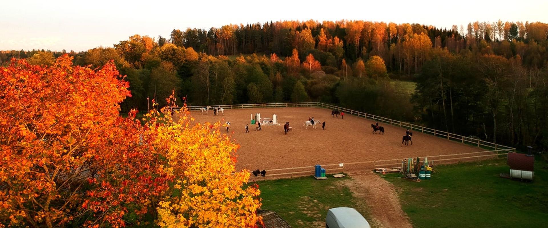 Der Reitbauernhof Tobra Hobused