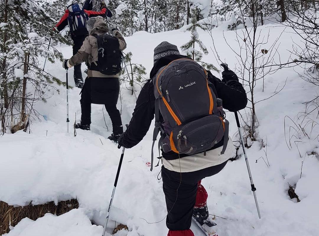 Talvine suusamatk Puhatu soostikus mööda II ms aegset raudteetammi