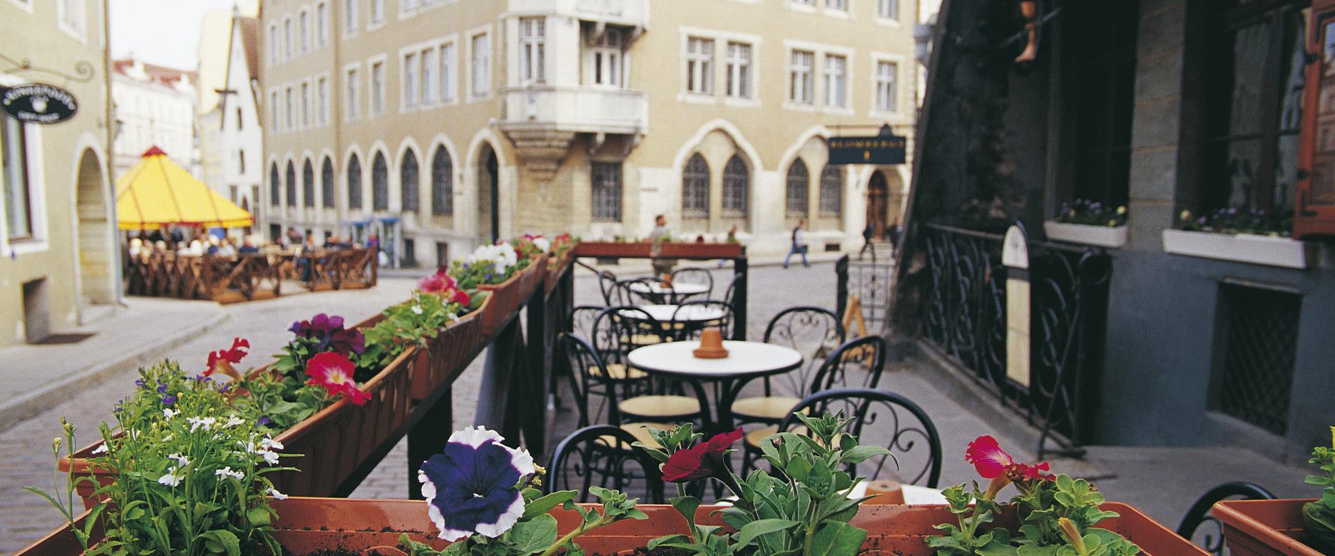 Blumenkästen, Terrasse und Café