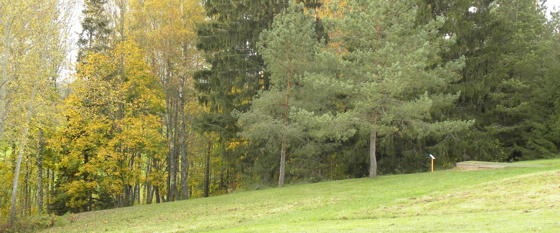 Erholungsbereich Aruküla-Hügel