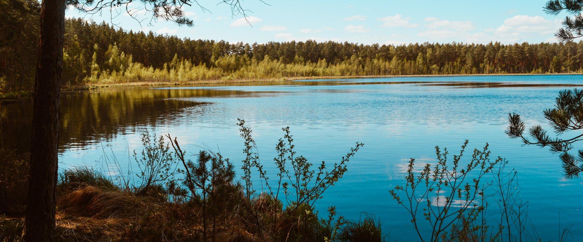 Lake Valguta Mustjärv