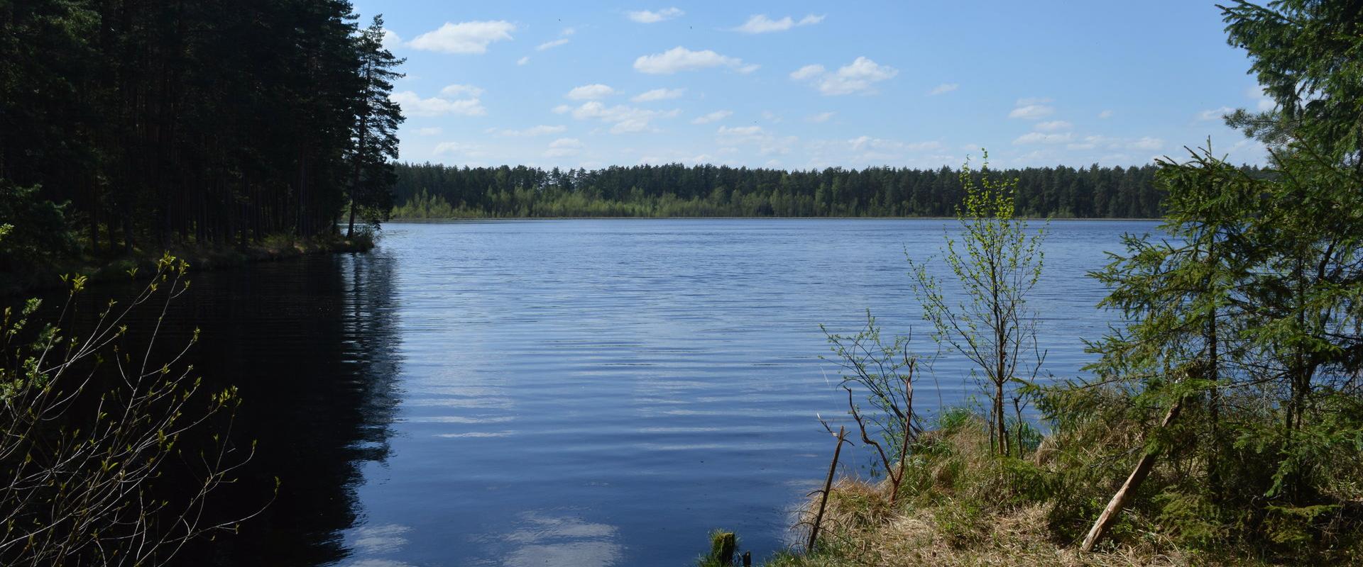 View of the lake