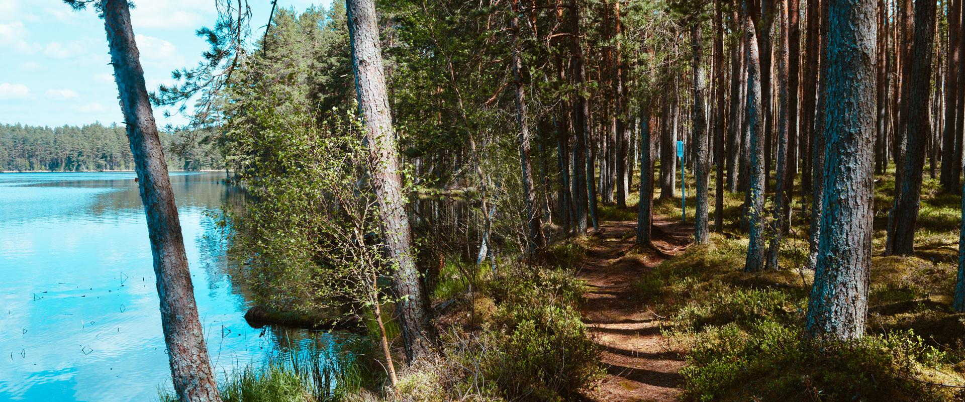 On the northern shore of Lake Mustjärv