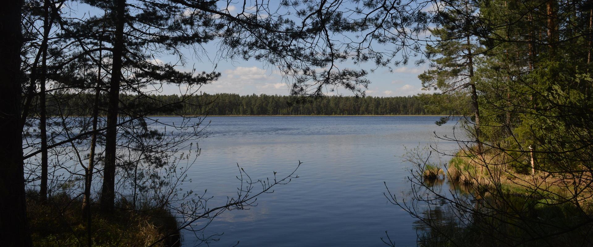 View of the lake