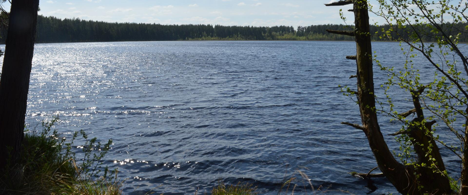 Beautiful bog lake