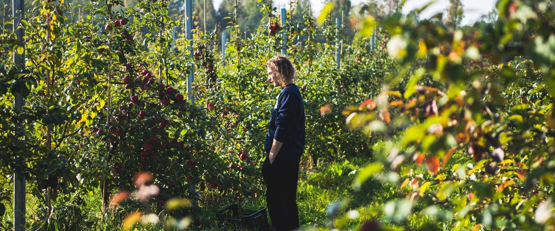 The KODAS modern production, distance working and visitor centre is located at Valgjärve, between the picturesque hills of Otepää Upland. We use the f