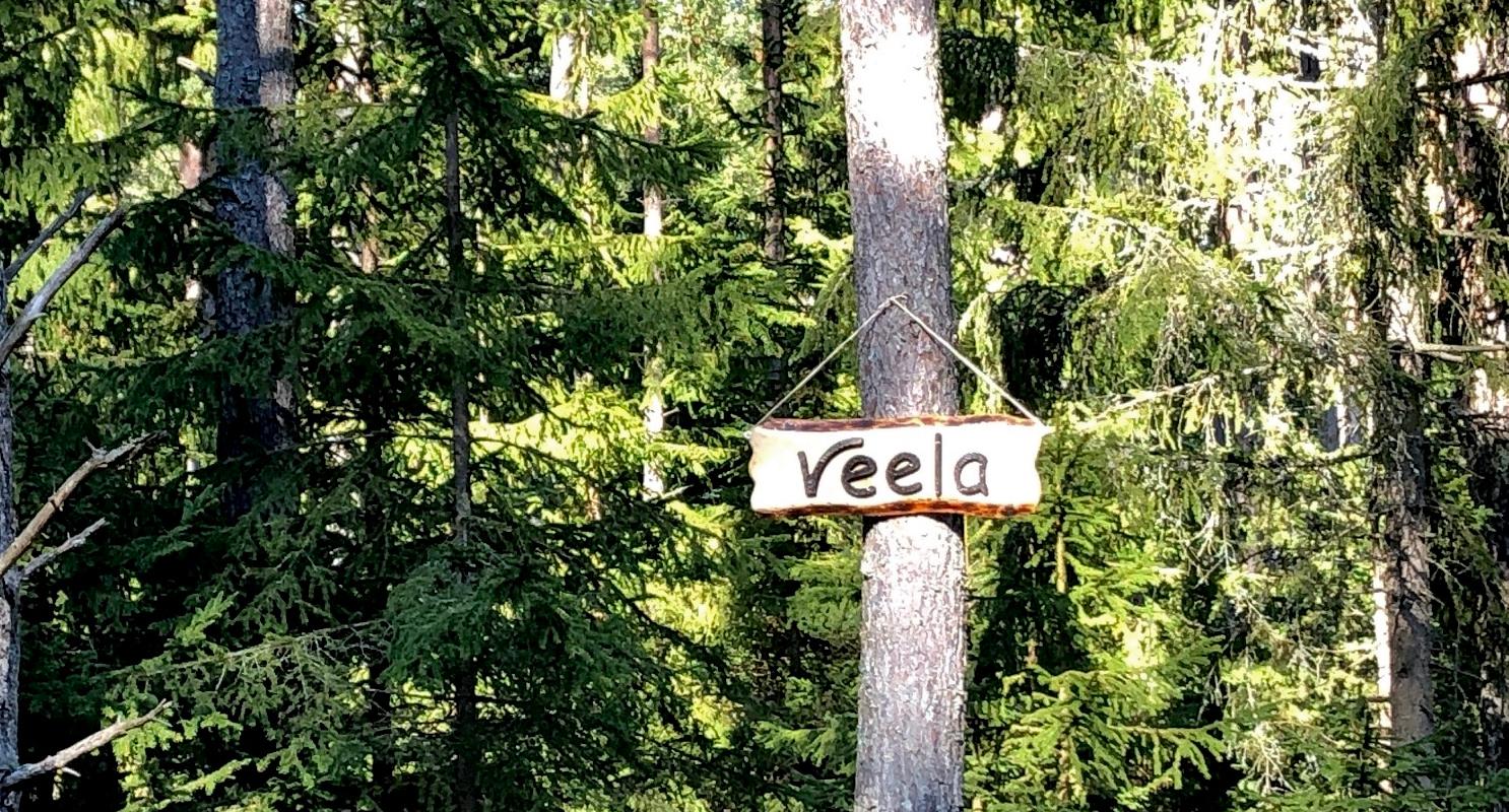 Veela metsamaja