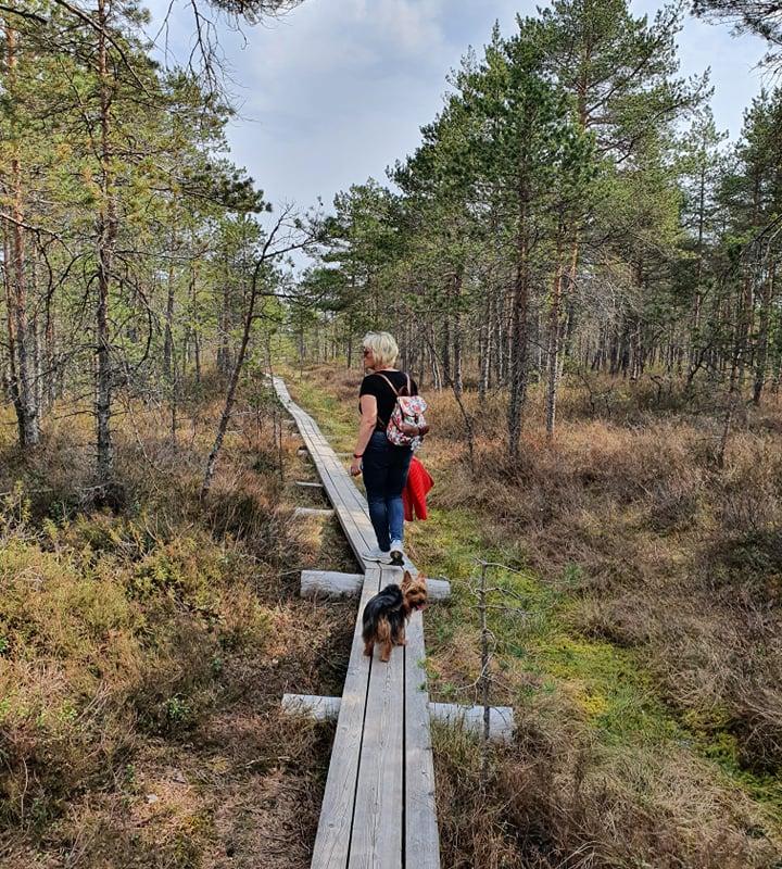 Väätsa looduskaitseala matkarada