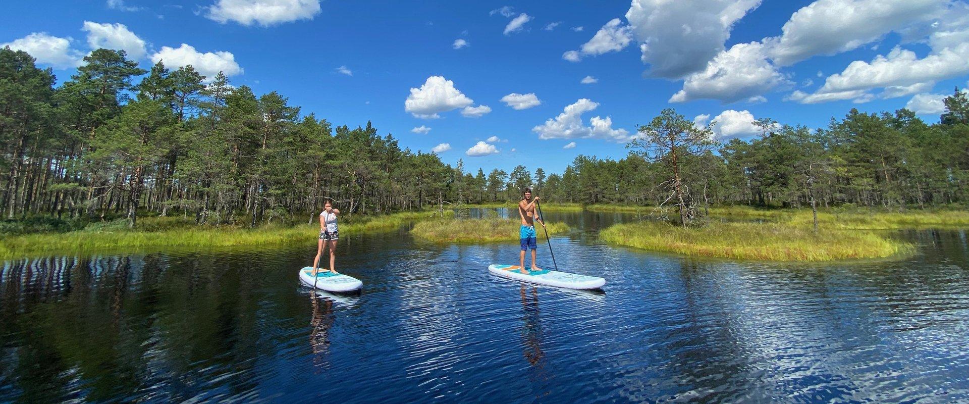 Fabelhafte Hochmoorwanderung mit SUP-Boards in Kõnnu-Suursoo