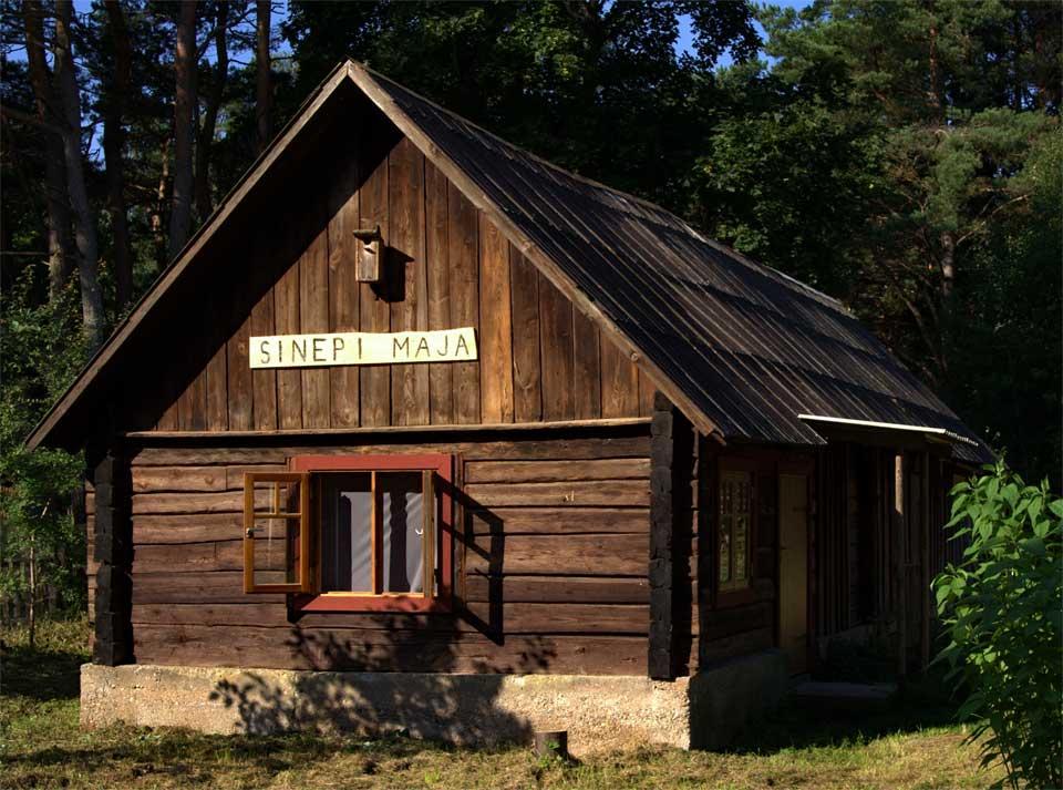 Mustjala Mustard OÜ,  tee oma sinepit, töötuba