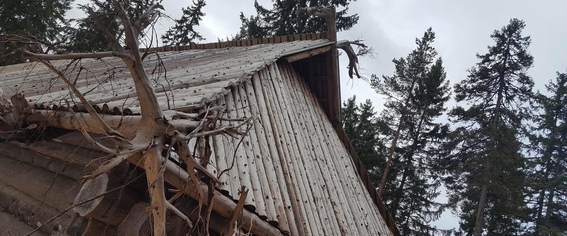 Suitsutare ringkäik Mustjõel