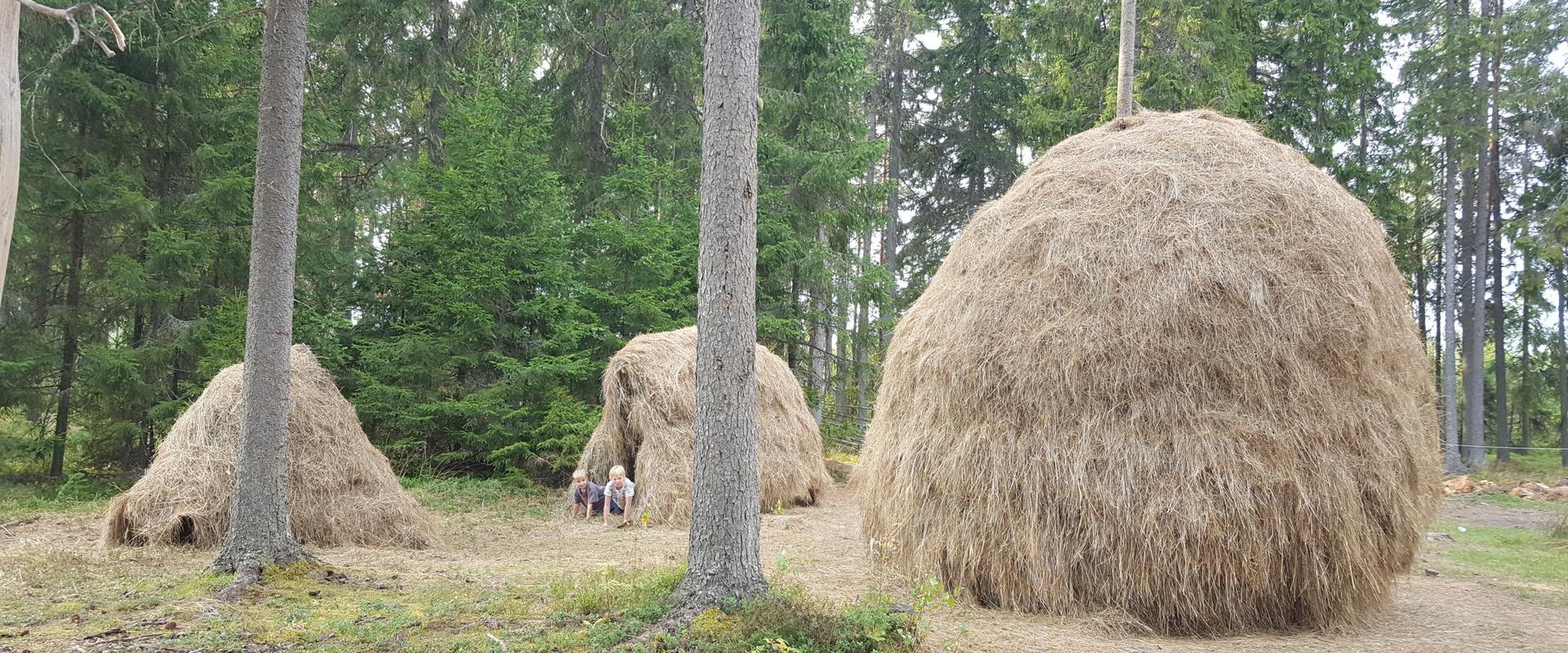 Suitsutare ringkäik Mustjõel