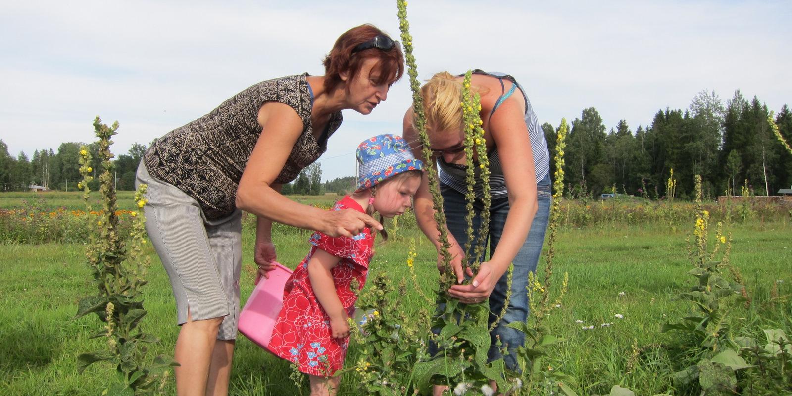 Herb Journey at Energy Farm