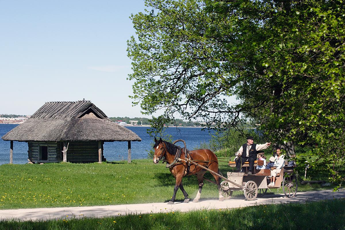 Jalutuskäik giidiga Eesti Vabaõhumuuseumis