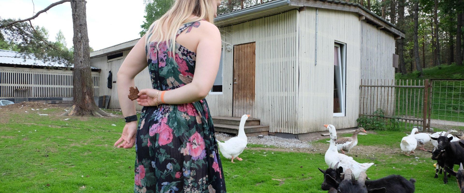 Kallaste Talu Elamustalu