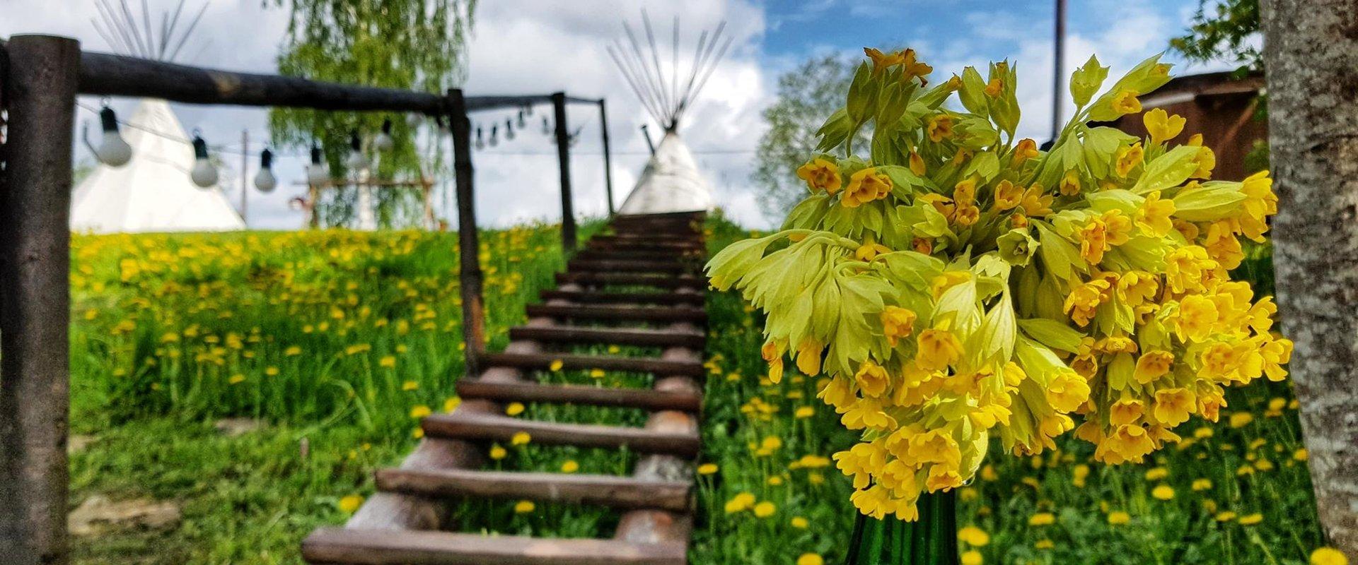 Ausflug auf den Spuren des Alten Friedens