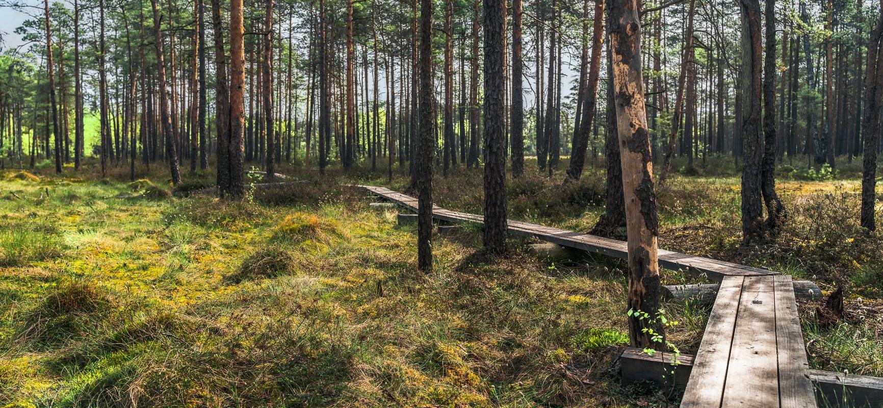 Väätsa looduskaitseala matkarada