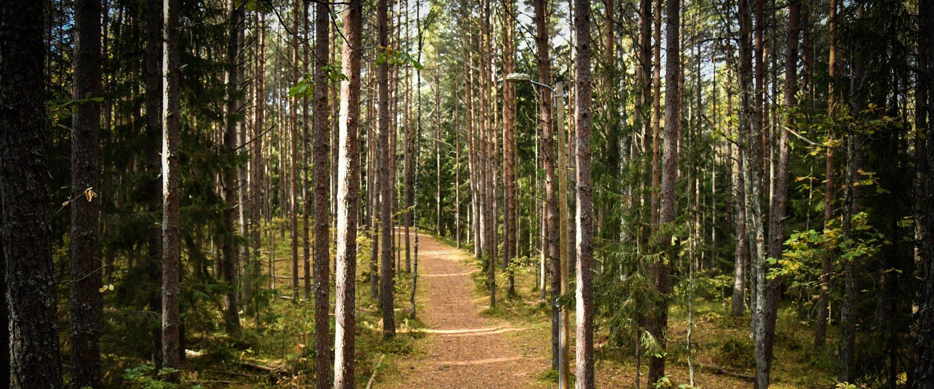 Tõstamaa health sports trail