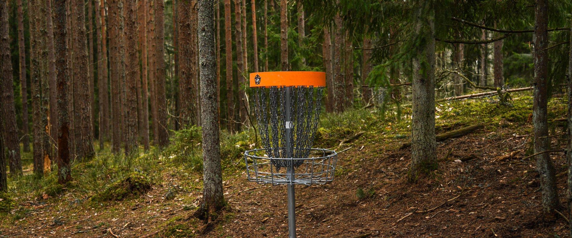 Tõstamaa discgolfi park