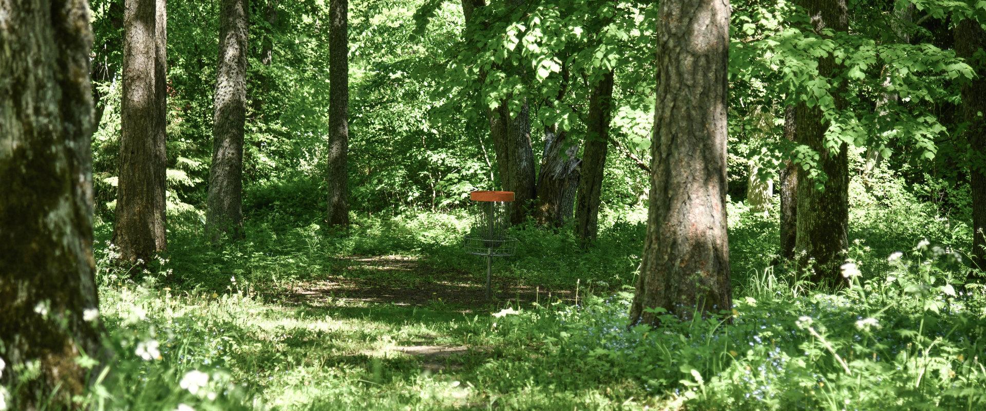Tõstamaa discgolfi park