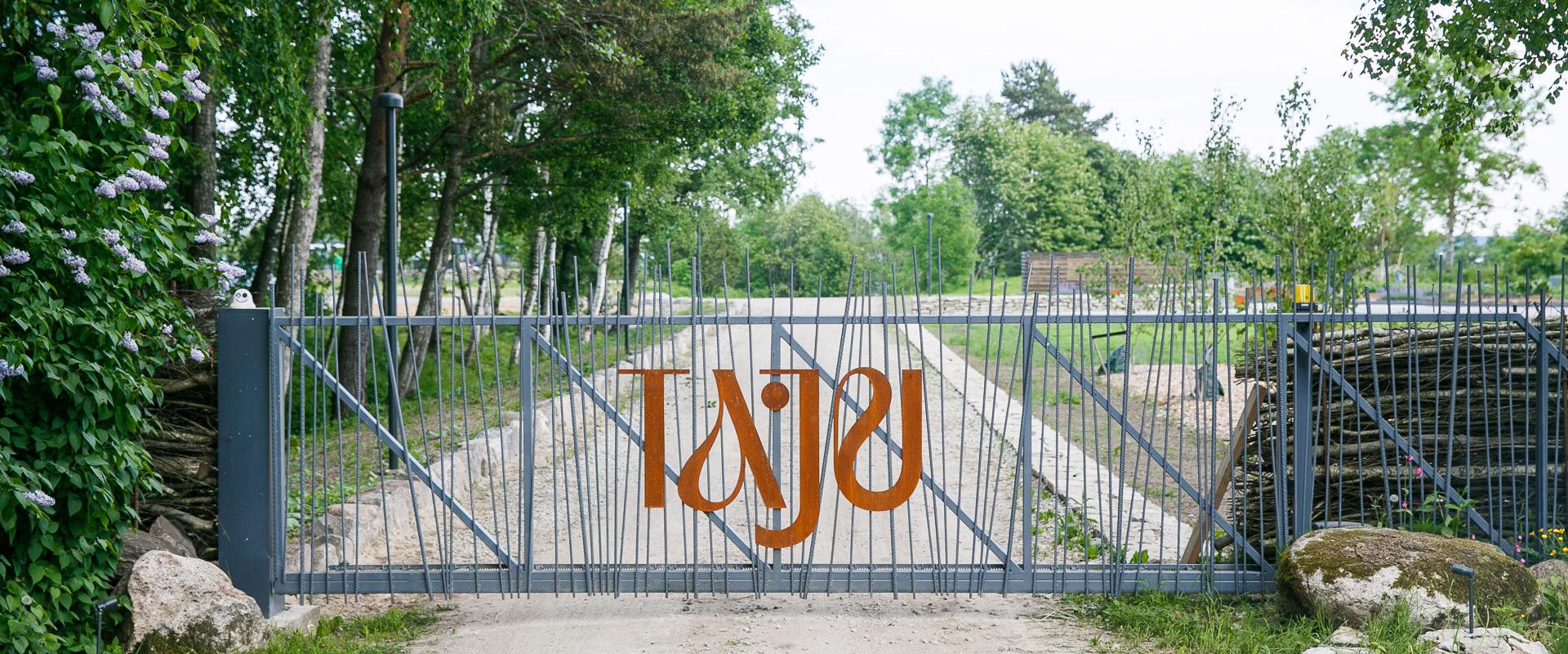 Taju Journey