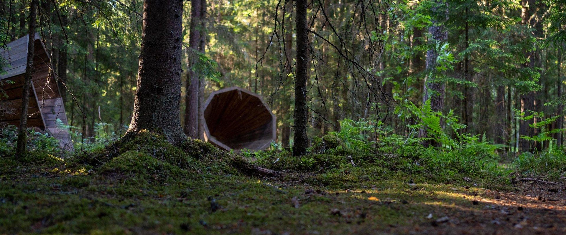 Wenn Sie den Stimmen des Waldes lauschen und in der Stille Ihre Gedanken sammeln wollen, dann sind Sie im Landkreis Võrumaa, am Naturzentrum des RMK P