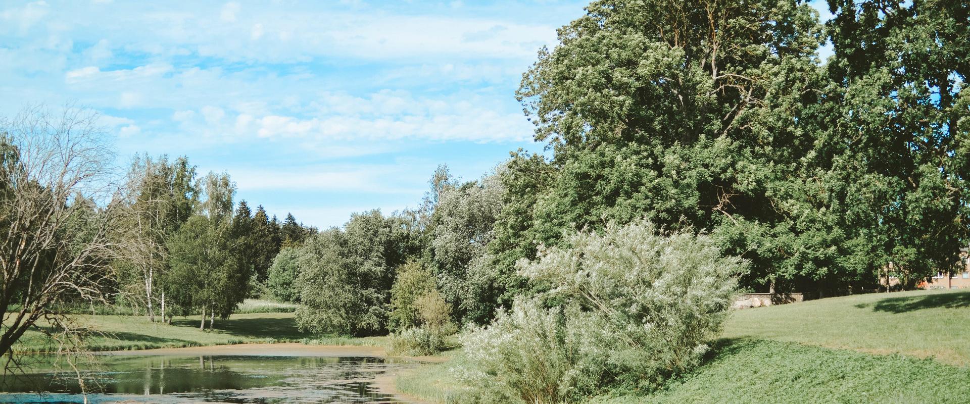 Ulvi mõis ja mõisapark