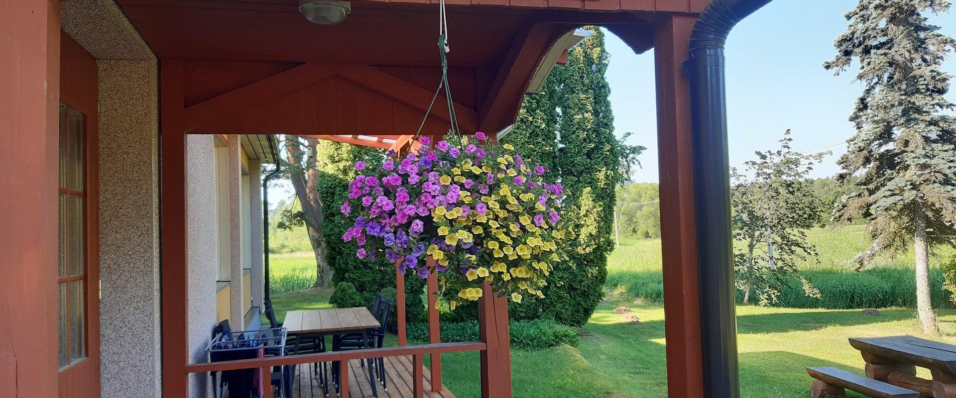 Mit Blumen geschmückte Terrasse der Privatunterkunft Jõesuu