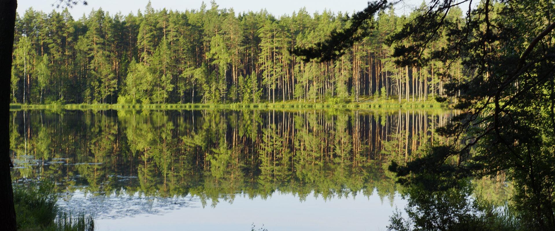 Nohipalu Valgjärv Meenikunno maastikukaitsealal