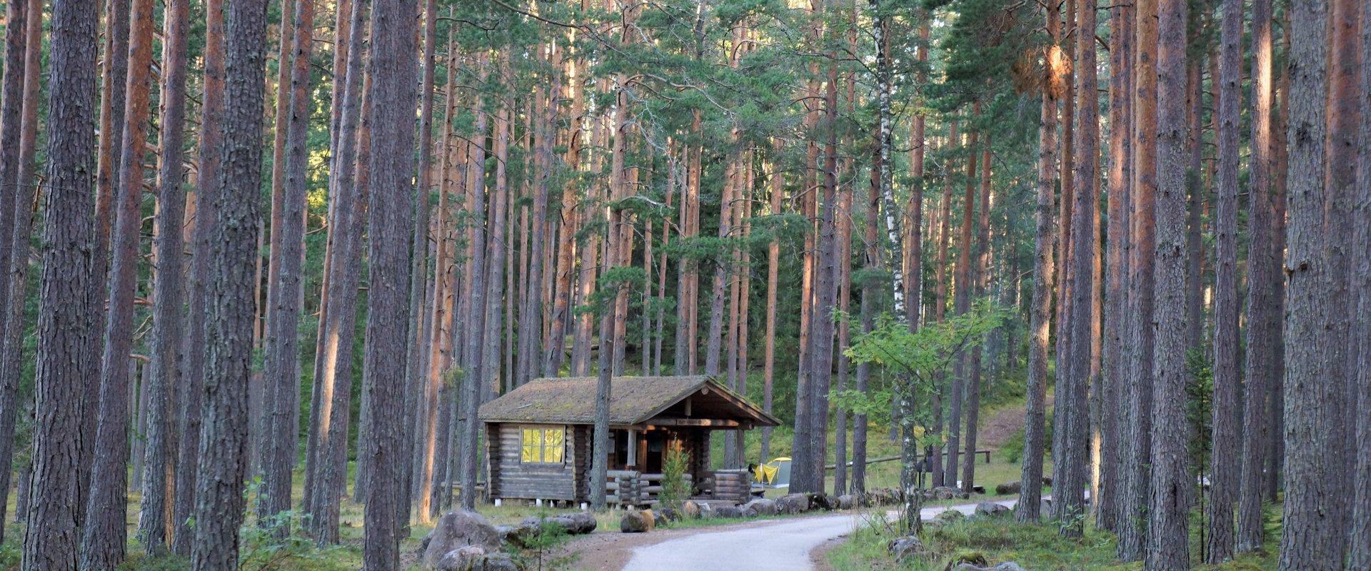 Nohipalu Valgjärv Meenikunno maastikukaitsealal