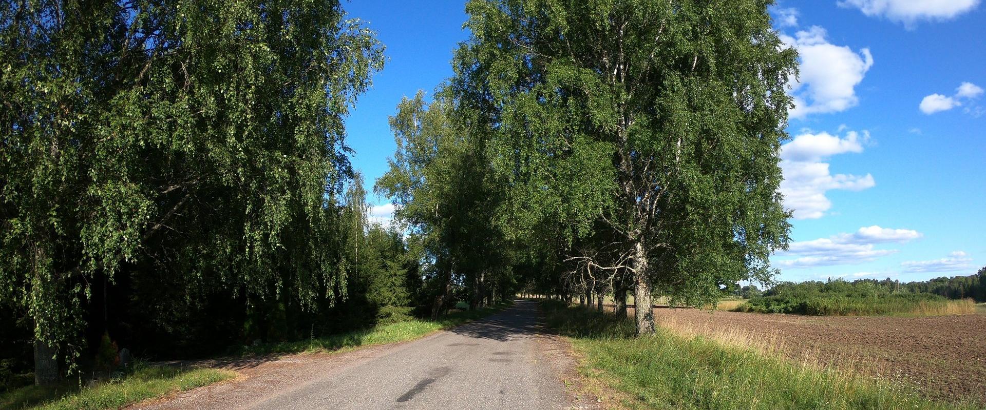 Väike Mulgi rattaretk elektriratastel