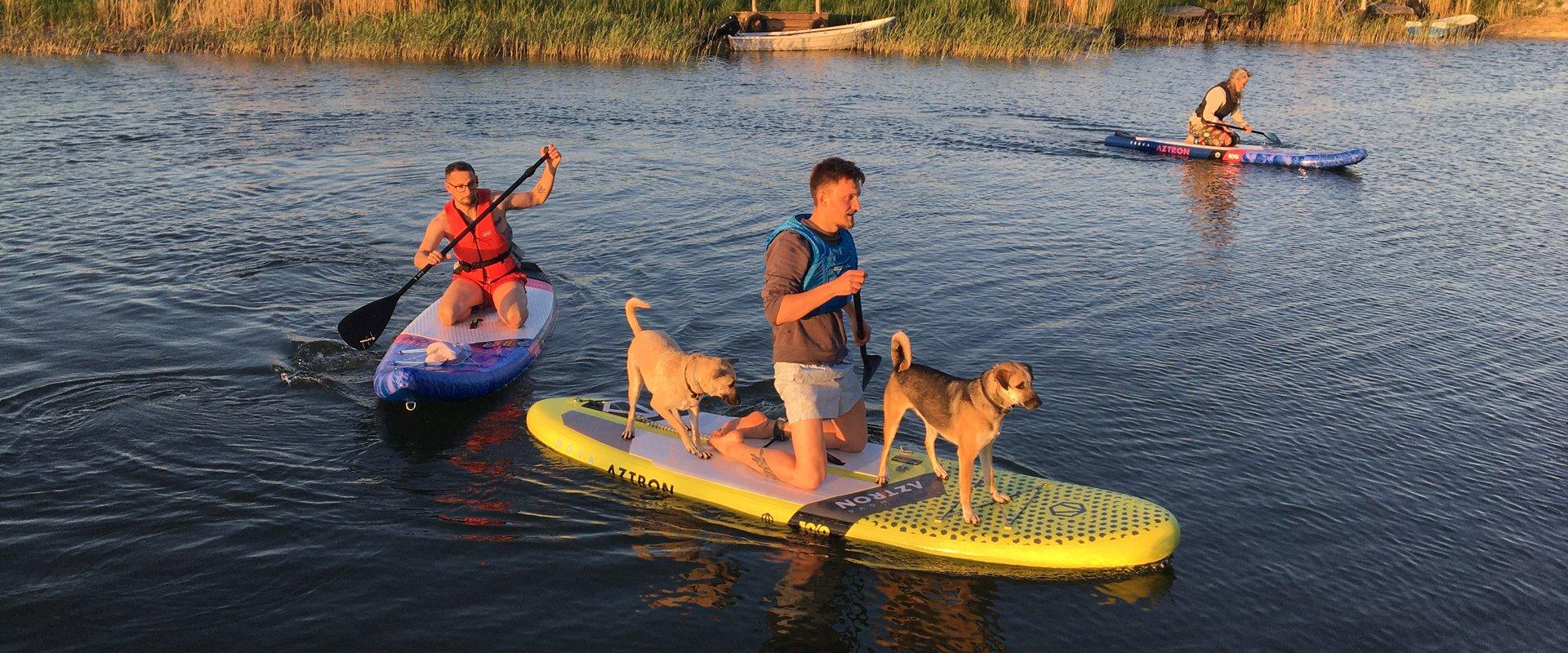 SUP Verleih mit Haustier