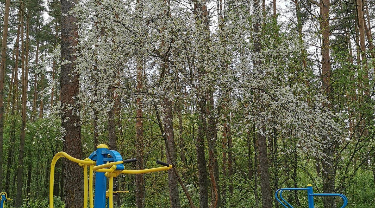 Uulu muul ja ajaloolise roosiaia puhkepark mänguväljak