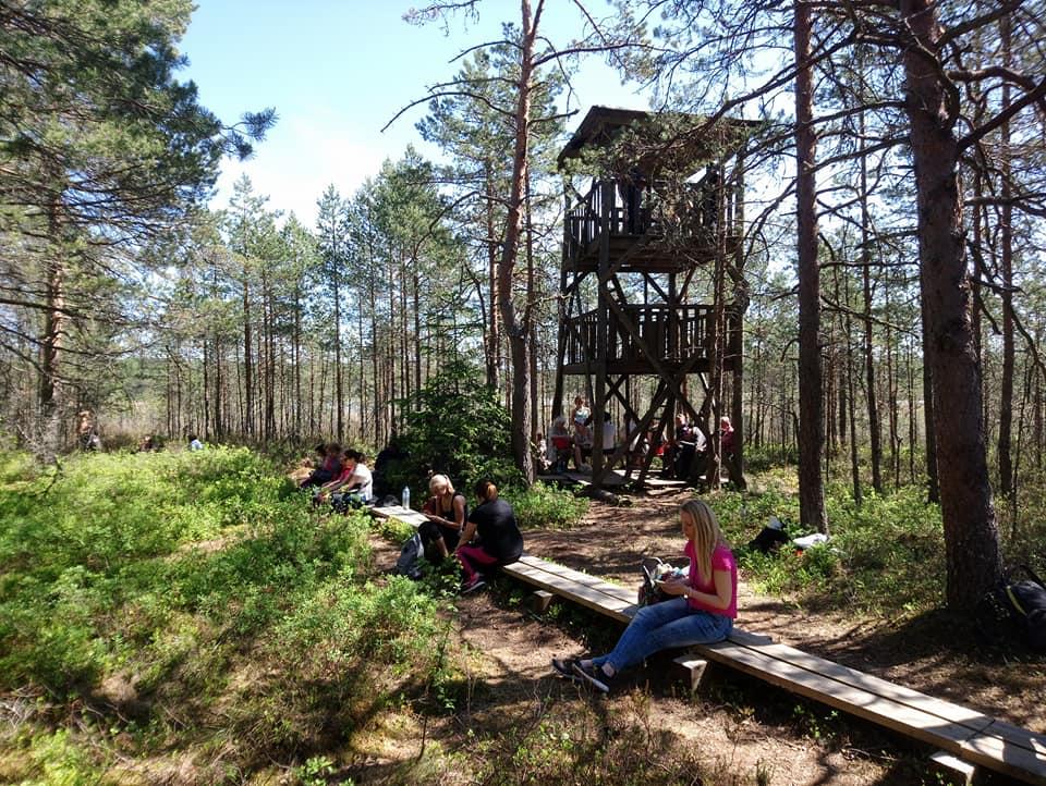 Valgejärve loodusõpperaja vaatetorn