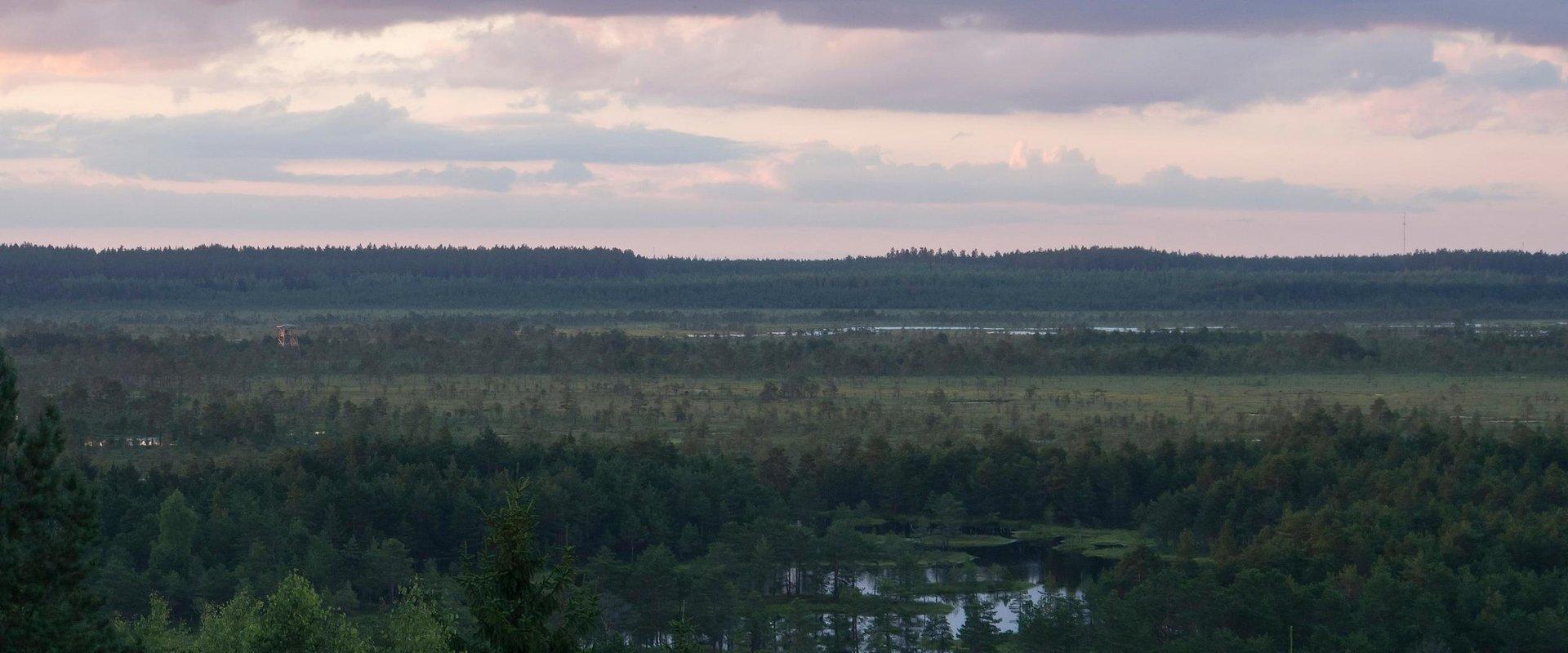 The Lake Paukjärv nature trail is 5 km long and circular in shape. It is signposted with yellow markings on the trees. It winds its way around the esk