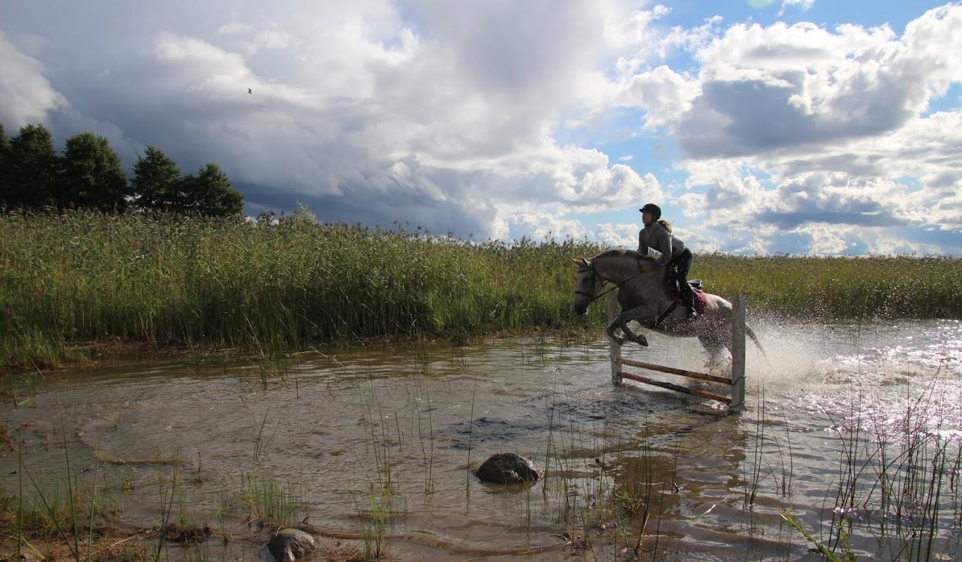 Reiten auf dem Reiterhof Tamme Tall