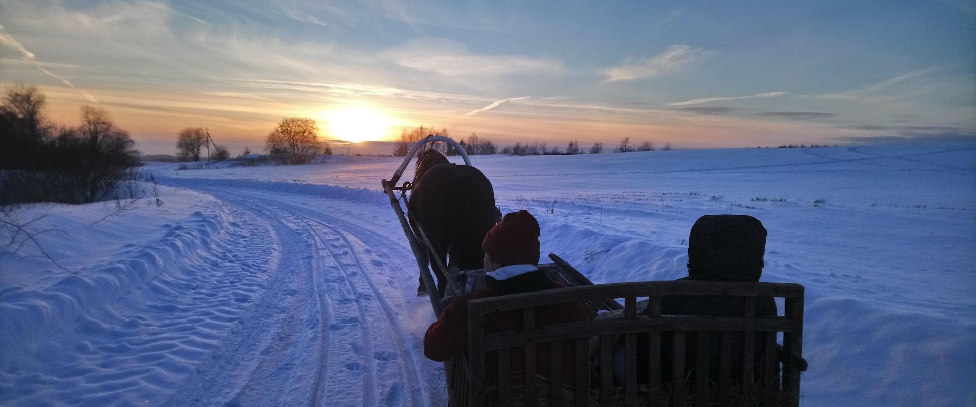 Reiten auf dem Reiterhof Tamme Tall