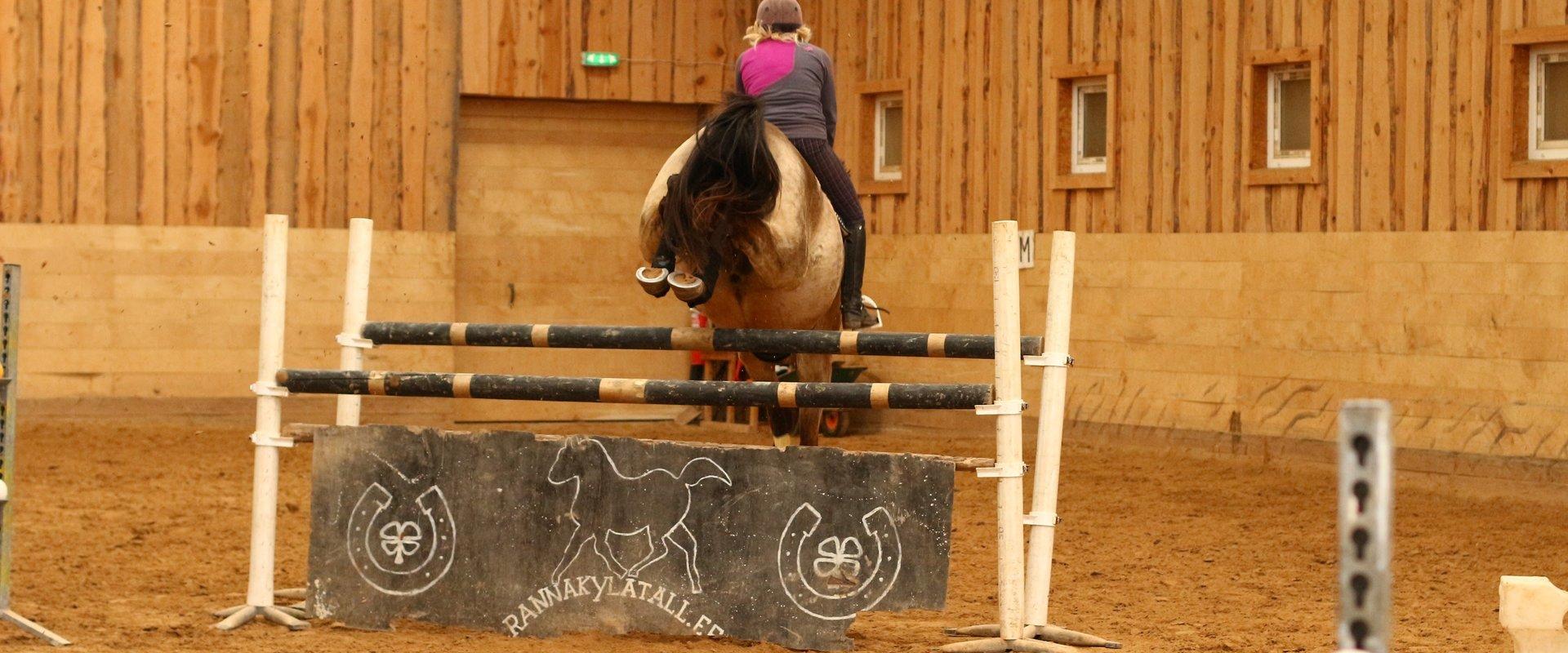 Reiten auf dem Reiterhof Tamme Tall