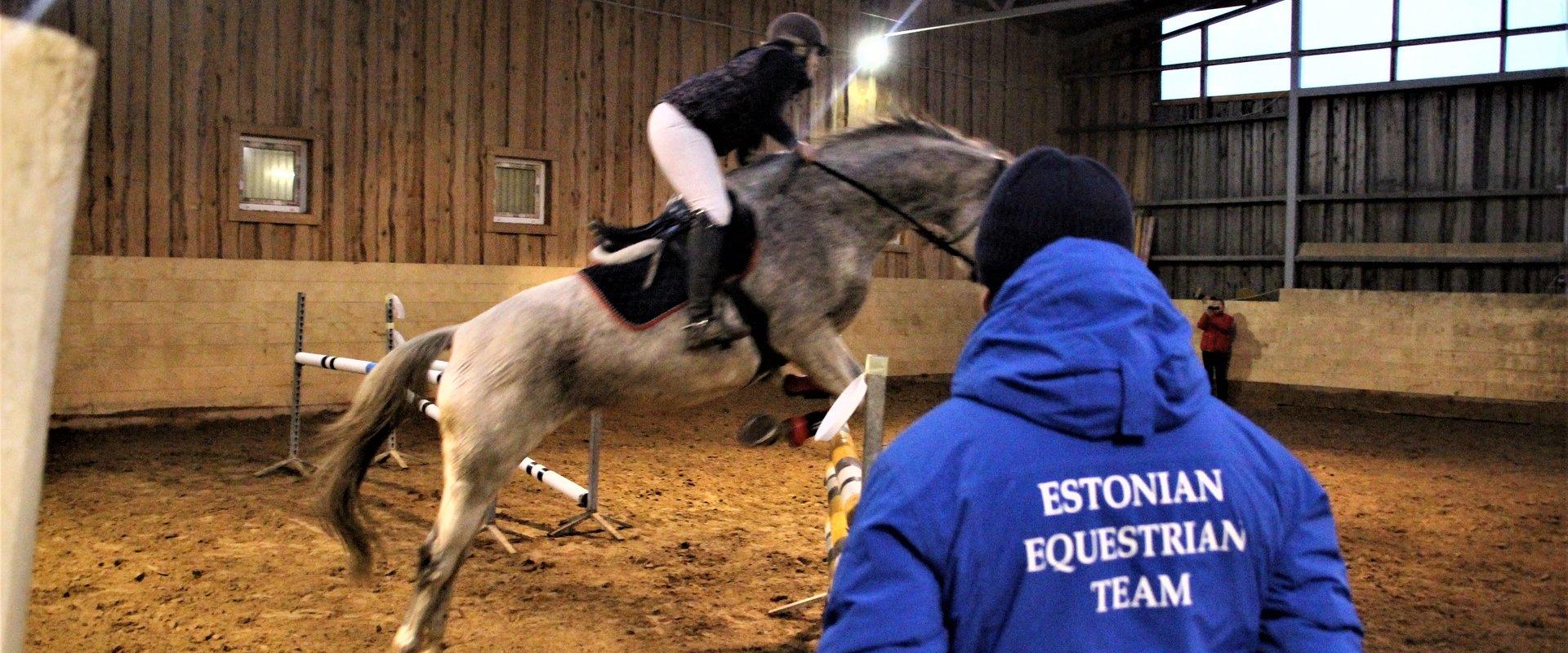 Reiten auf dem Reiterhof Tamme Tall