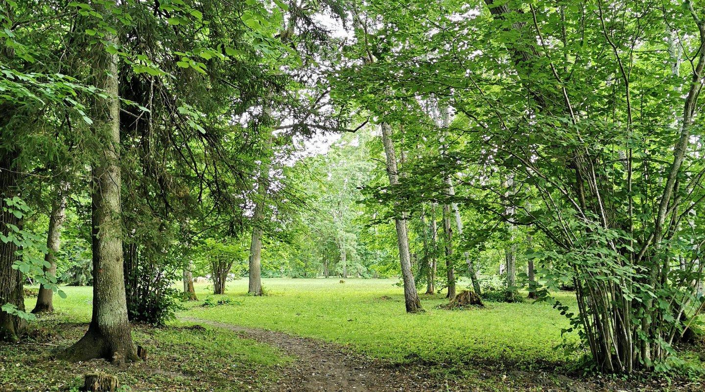 Der Park von Gut Audru