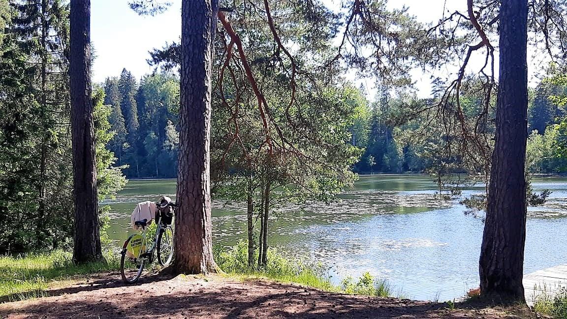 Raasiku jalgrattarent