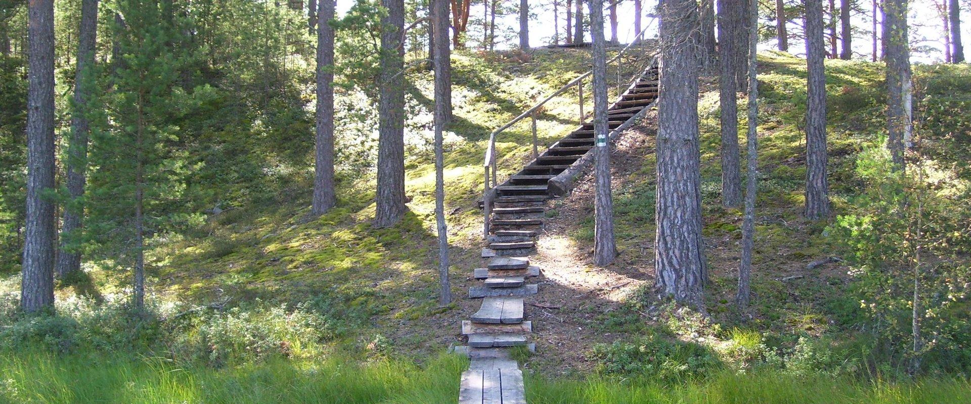 RMK Majakivi–Pikanõmme study trail