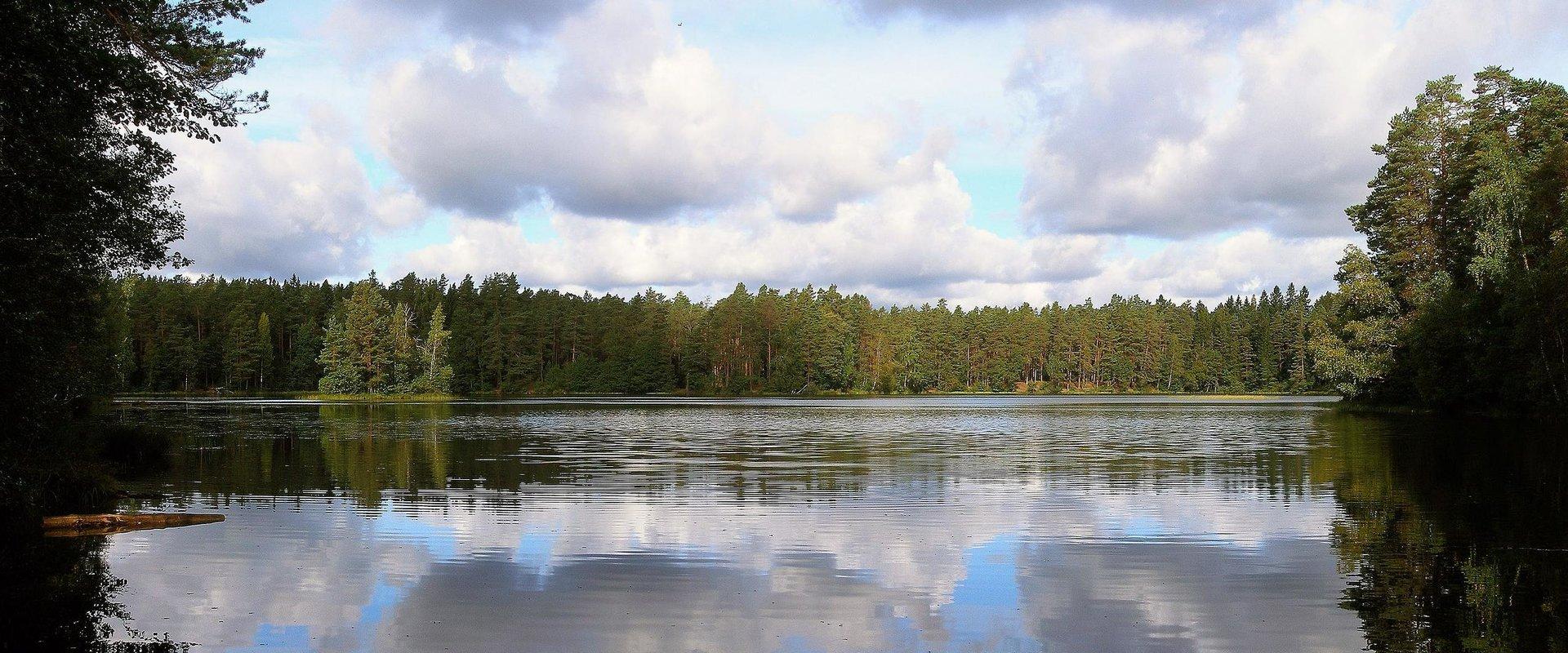 2.5 km of the trail is covered with a boardwalk, partially overlapping with Paukjärve and Jussi nature trails. The trail includes a number of camping 