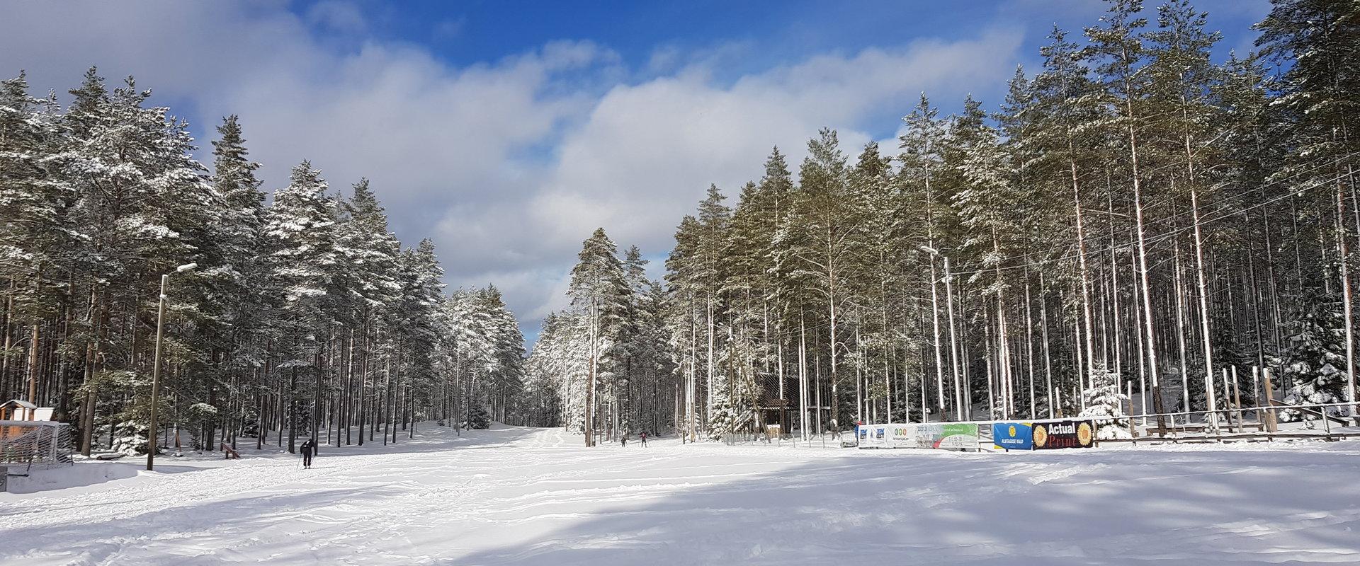 Alutaguse Puhke- ja Spordikeskuse terviserajad - suusarajad talvel