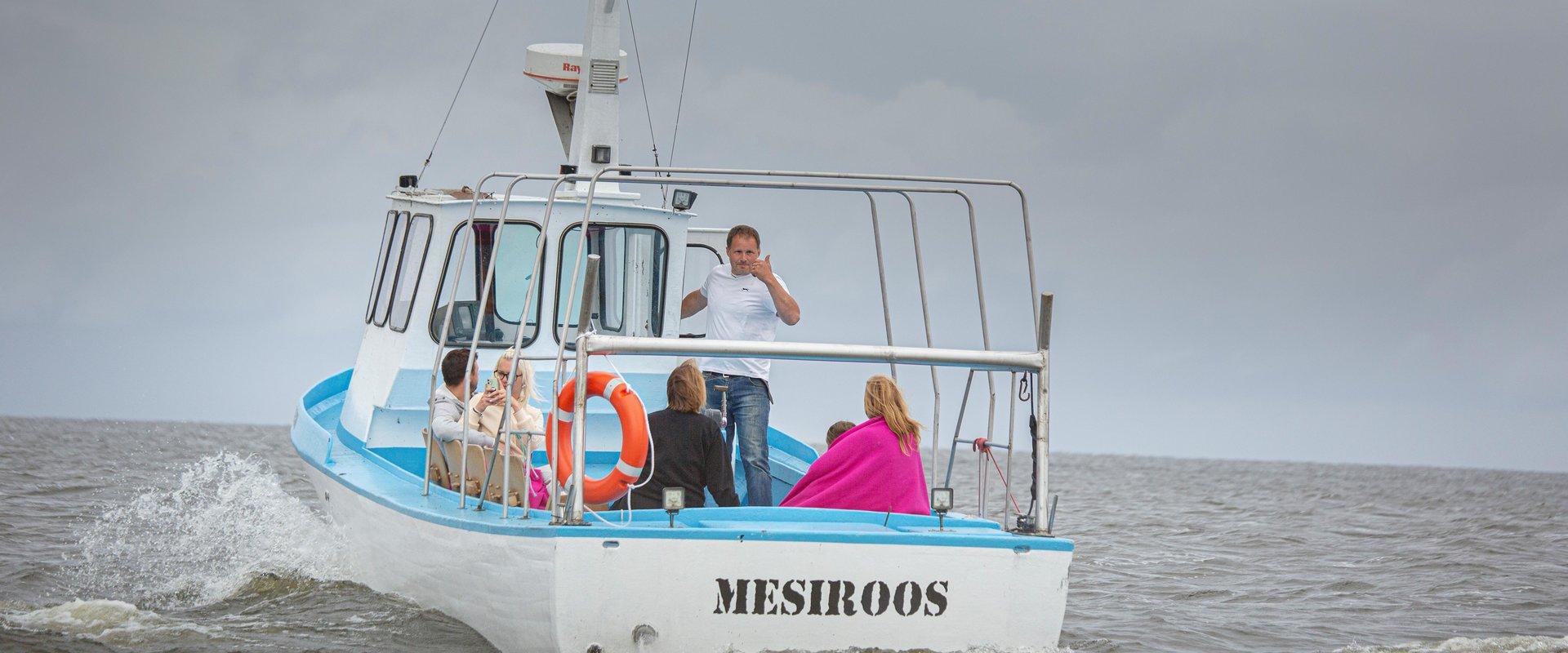 Lake Peipus cruises on the pleasure boat Mesiroos