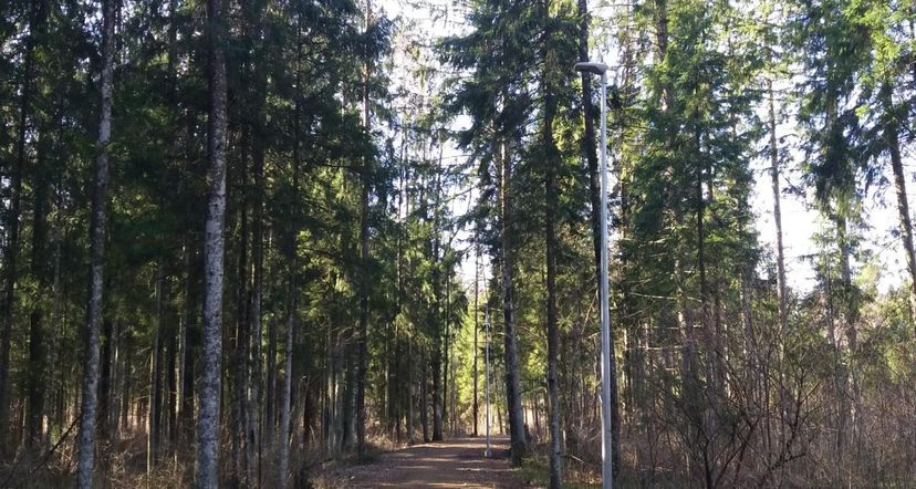 Sõmeru tervise- ja suusarajad