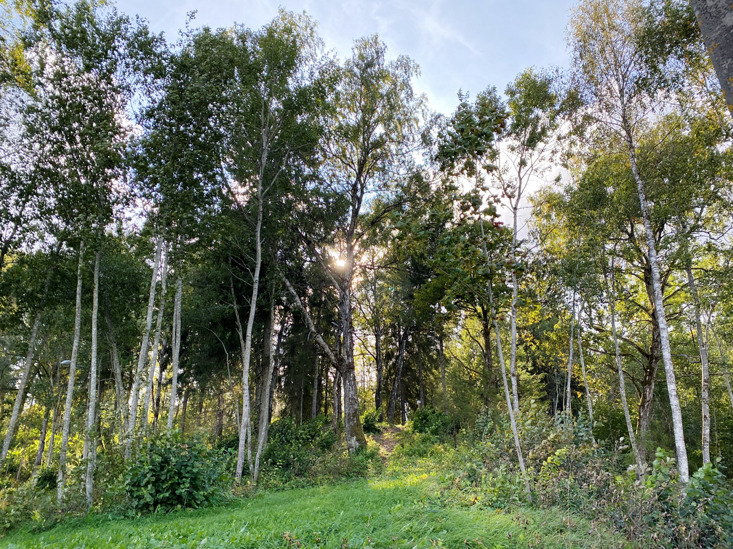 Rakke linnamäe tervise- ja suusarajad