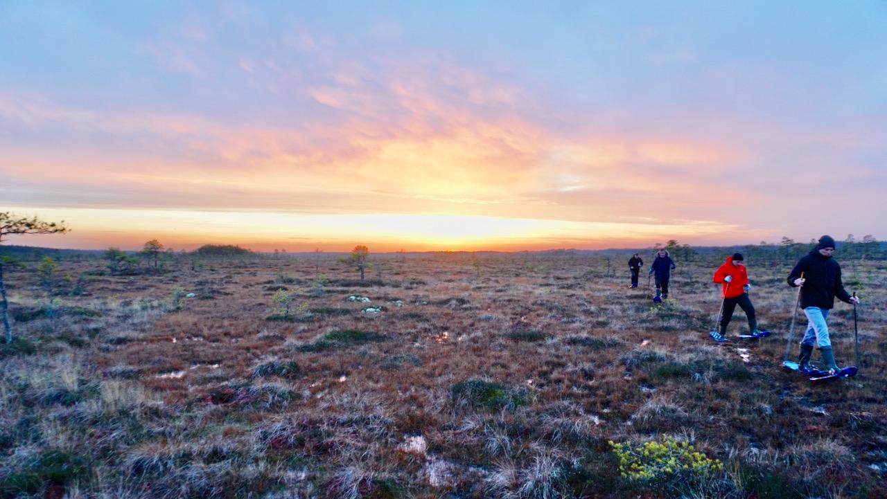 Matkajuhi räätsamatkad rabas